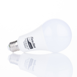 Led Bulb tròn ánh sáng vàng 15W