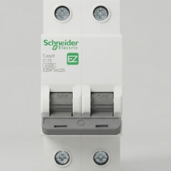Cầu dao tự động MCB 2P Easy9 Schneider Electric